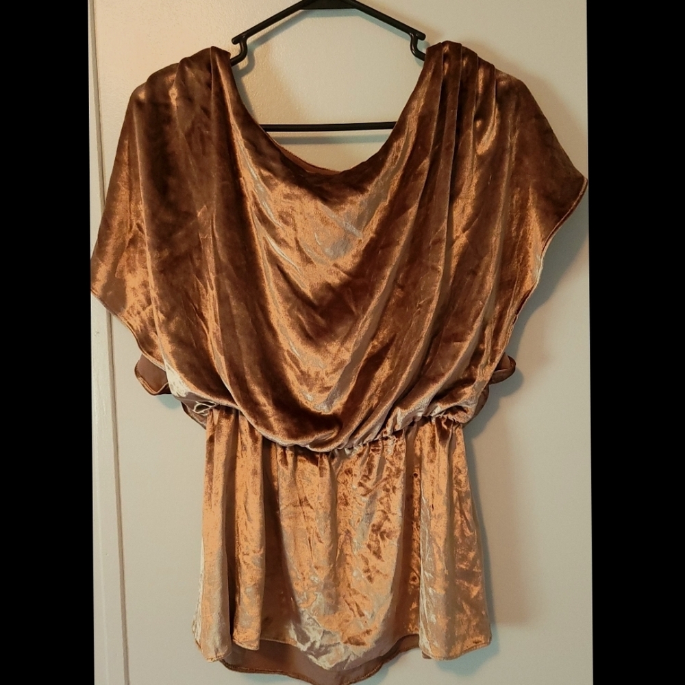 Brown Fashionable Alice + Olivia Top | Size Medium